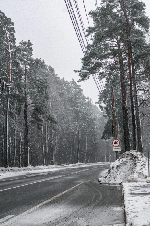 a street sign sitting on the side of a snow covered road, inspired by Ivan Shishkin, pexels contest winner, velly distant forest, panorama, gray sky, russia