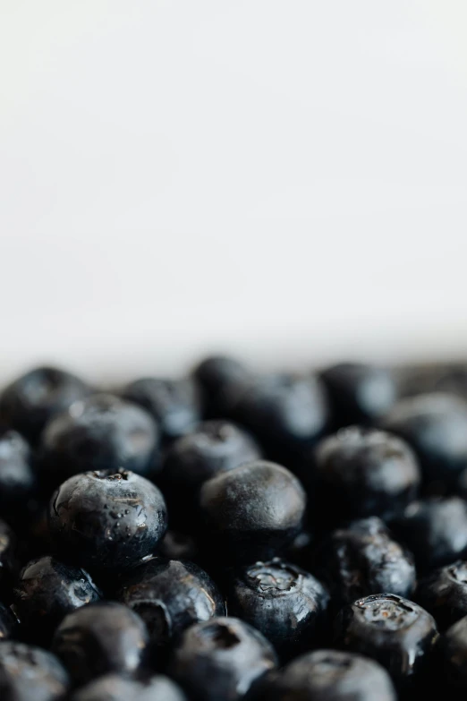 a close up of a bowl of blueberries, a picture, unsplash, 2 5 6 x 2 5 6 pixels, profile image, grey, surface blemishes