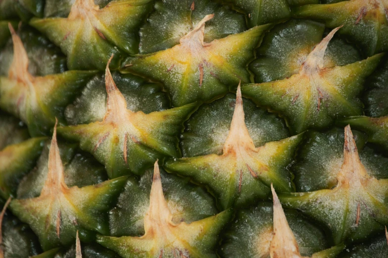 a close up view of a pineapple, top - down photograph, digital image