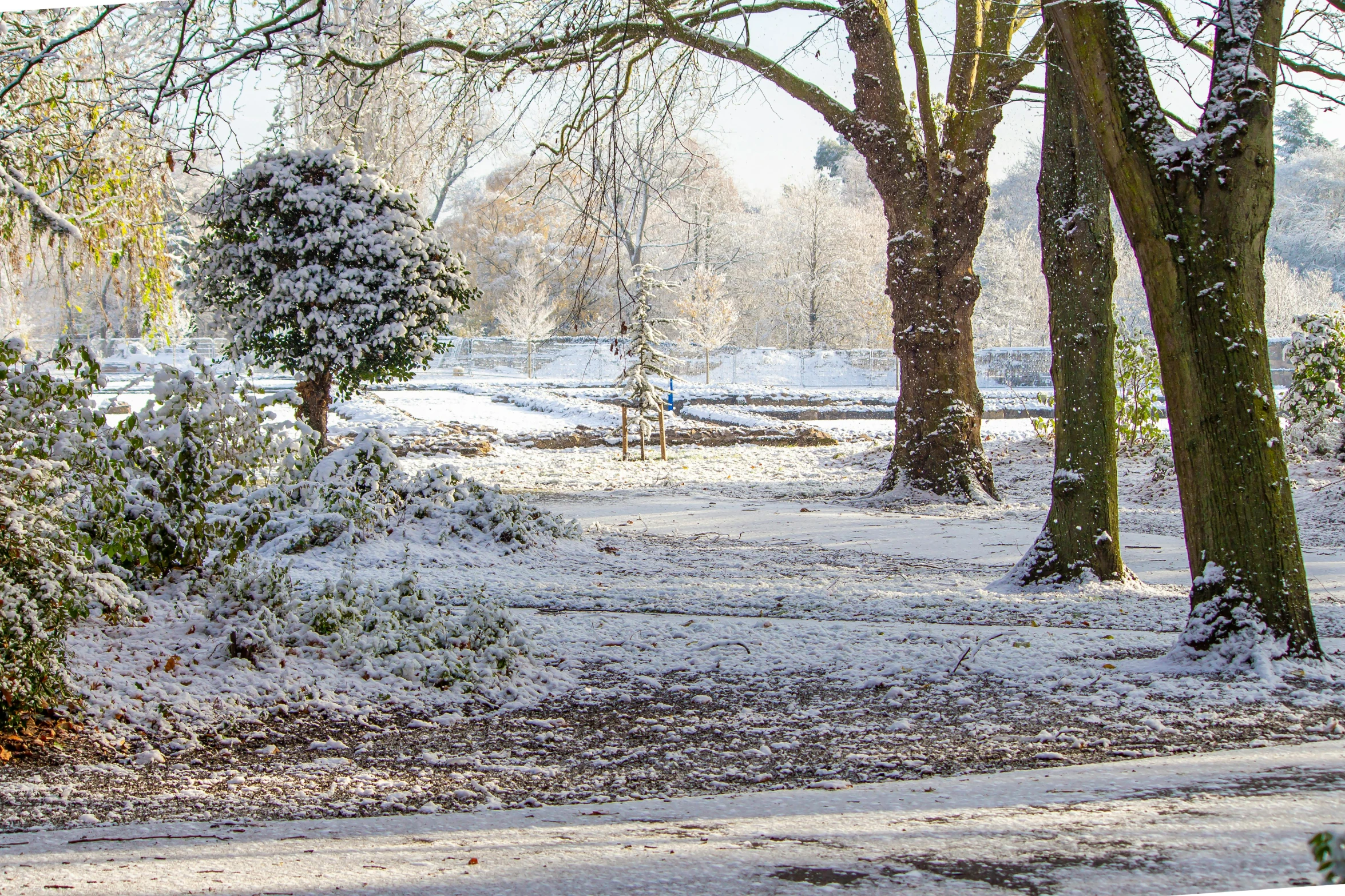 a red fire hydrant sitting in the middle of a snow covered park, inspired by Arthur Burdett Frost, varied trees in the back, royal garden landscape, panoramic shot, amanda clarke