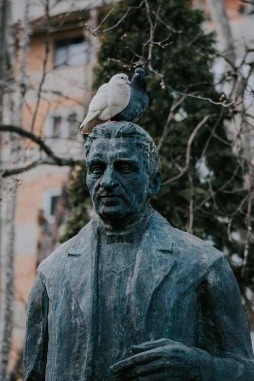 a statue of a man with a bird on his head, a statue, inspired by Eliseu Visconti, pexels contest winner, friends, basil gogos, wearing a blue jacket, looking at camera