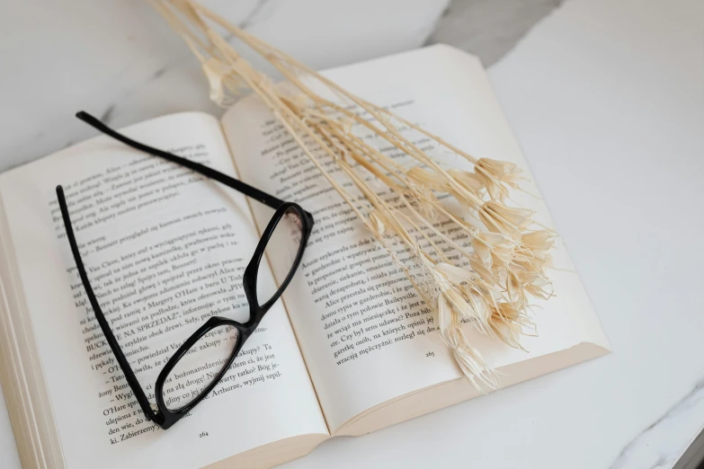 an open book with a pair of glasses on top of it, by Carey Morris, pexels contest winner, neo-romanticism, dried plants, clean and simple, stems, square glasses