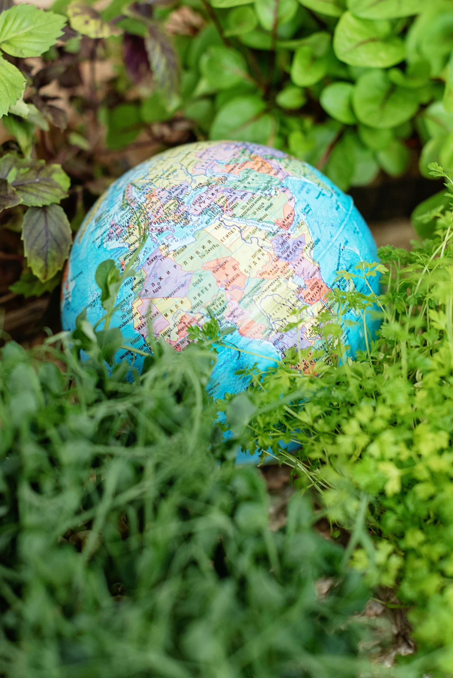 a globe sitting on top of a lush green field, with a garden, made out of plastic, world map, herbs