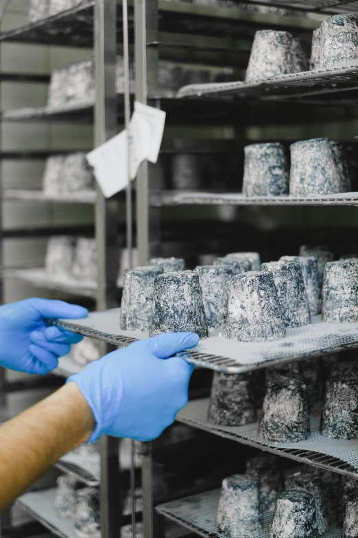 a person in blue gloves holding a tray of doughnuts, many cryogenic pods, full of silver layers, coating a stubborn core.', greys