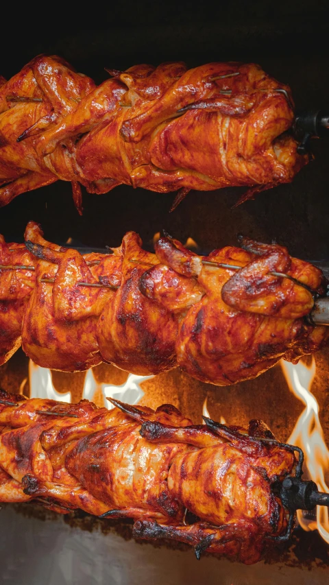 a close up of some meat on a grill, a digital rendering, pexels, hurufiyya, chicken feathers, 3 - piece, multi - layer, fire lit