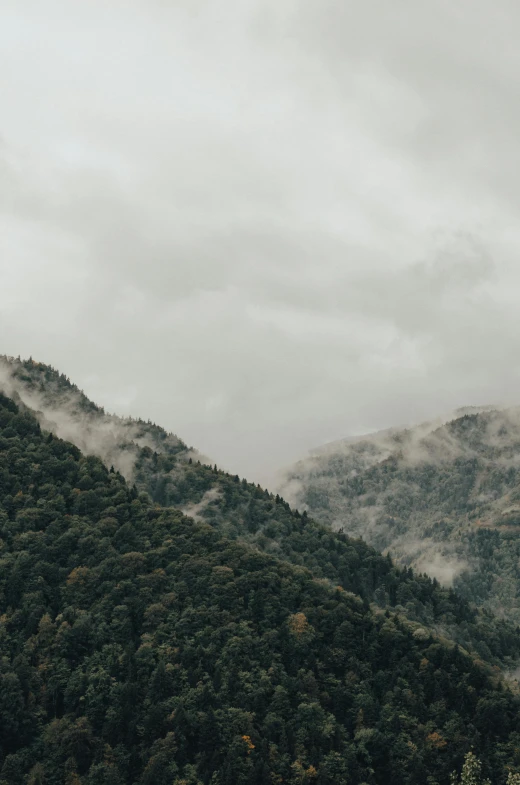 a couple of people standing on top of a lush green hillside, a picture, trending on unsplash, under a gray foggy sky, roofed forest, “ aerial view of a mountain, autumn