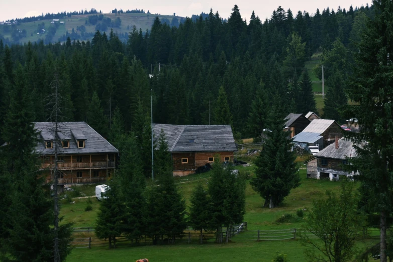 a herd of cattle standing on top of a lush green field, inspired by Avgust Černigoj, pexels contest winner, wooden houses, fir trees, with dark trees in foreground, located in hajibektash complex