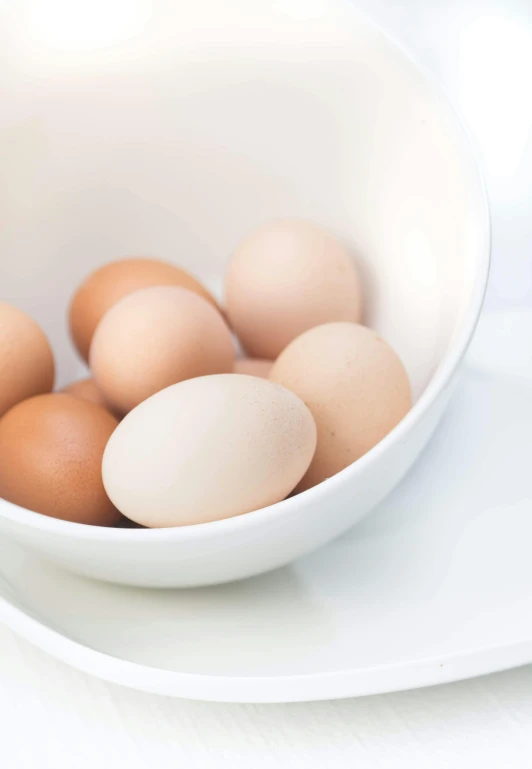 a bowl filled with eggs sitting on top of a white plate, by Jan Tengnagel, soft internal light, uncrop, programming, high quality product image”