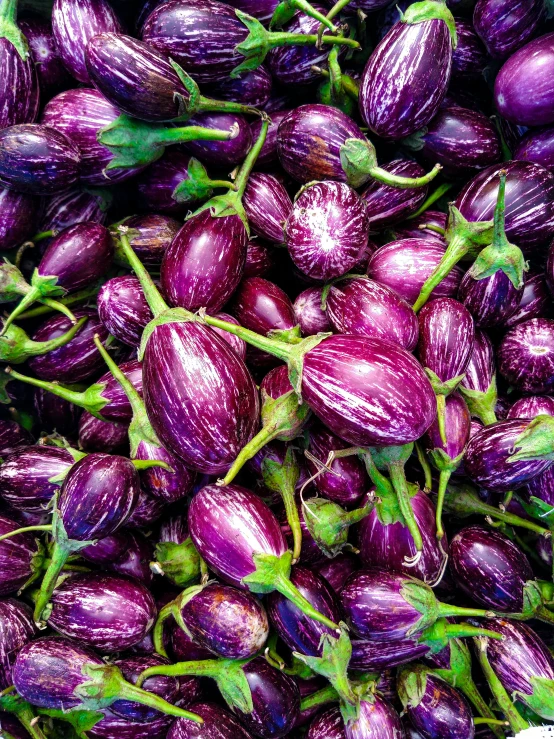 a pile of purple eggplant sitting on top of a table, renaissance, ((purple))
