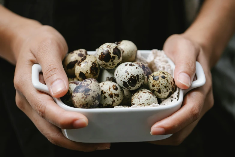 a person holding a bowl of quails in their hands, trending on pexels, white with black spots, dragon eggs, thumbnail, dessert