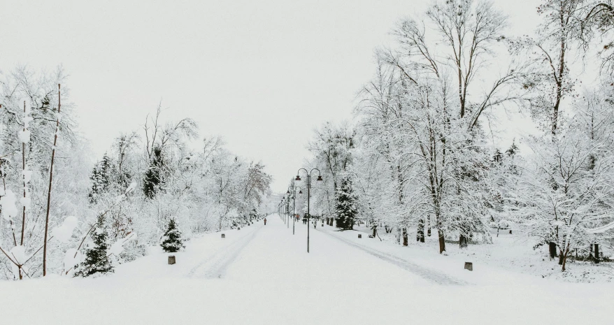 a person riding a snowboard down a snow covered road, by Jaakko Mattila, pexels contest winner, visual art, lamp posts, background image, white grey color palette, snow on trees and ground