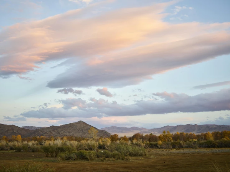 a field of grass with mountains in the background, inspired by Frederick Goodall, unsplash contest winner, cotton candy clouds, desert colors, “ iron bark, late summer evening