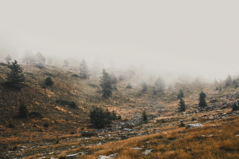 a hill covered in grass and trees on a foggy day, by Emma Andijewska, unsplash contest winner, 2 5 6 x 2 5 6 pixels, autumn mountains, hiking in rocky mountain, sparse pine trees