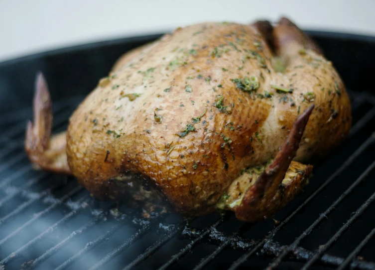 a close up of a chicken on a grill, by Matt Cavotta, pexels contest winner, renaissance, pot-bellied, an ultra realistic, turkey, 🦩🪐🐞👩🏻🦳