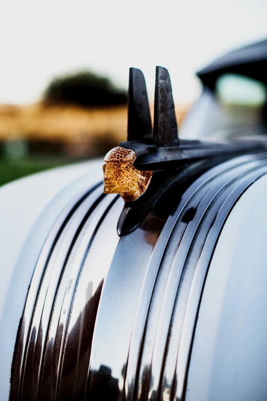 a close up of a car's hood ornament, by David Simpson, unsplash, renaissance, shot at golden hour, wedding, 1 9 4 1, award winning color photo