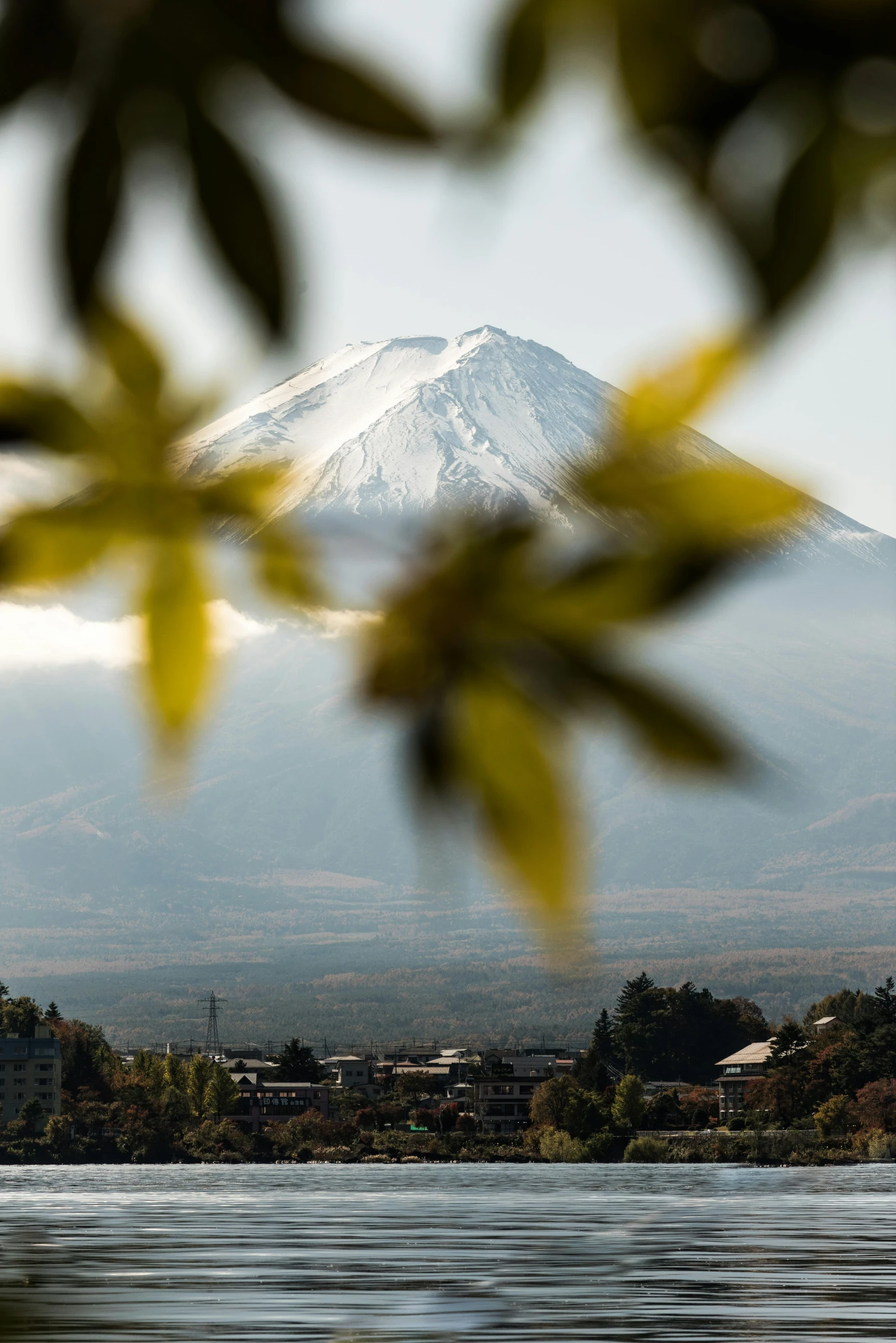 a large body of water with a mountain in the background, a picture, by Yasushi Sugiyama, trending on unsplash, hurufiyya, fuji choco, overlooking a valley with trees, photographed for reuters, flowers around