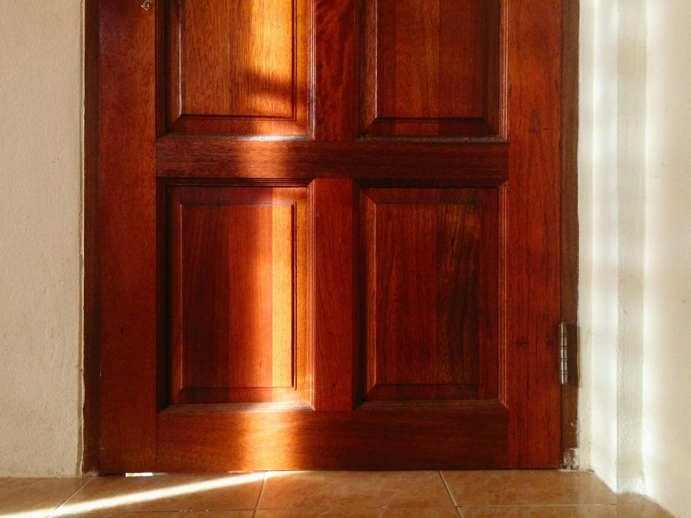 a cat sitting on the floor in front of a wooden door, an album cover, by Elizabeth Durack, unsplash, australian tonalism, sun puddle, smooth panelling, the great door of hell, clear and sunny