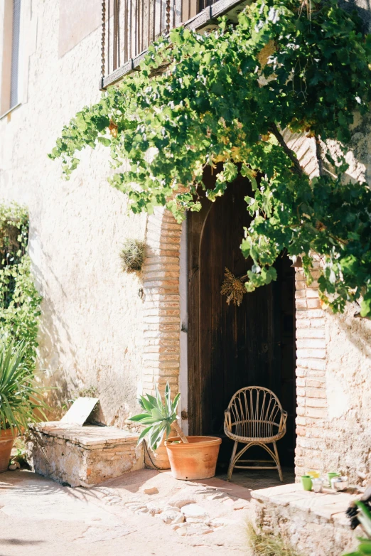 a couple of chairs sitting in front of a building, pexels contest winner, romanesque, large potted plant, doorway, farmhouse, conde nast traveler photo