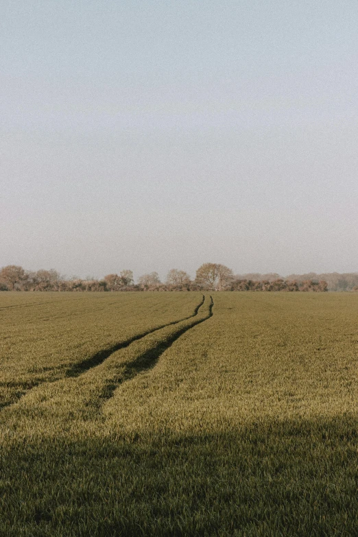 a man flying a kite on top of a lush green field, inspired by William Nicholson, unsplash contest winner, land art, sparse winter landscape, square lines, hedges, northern france