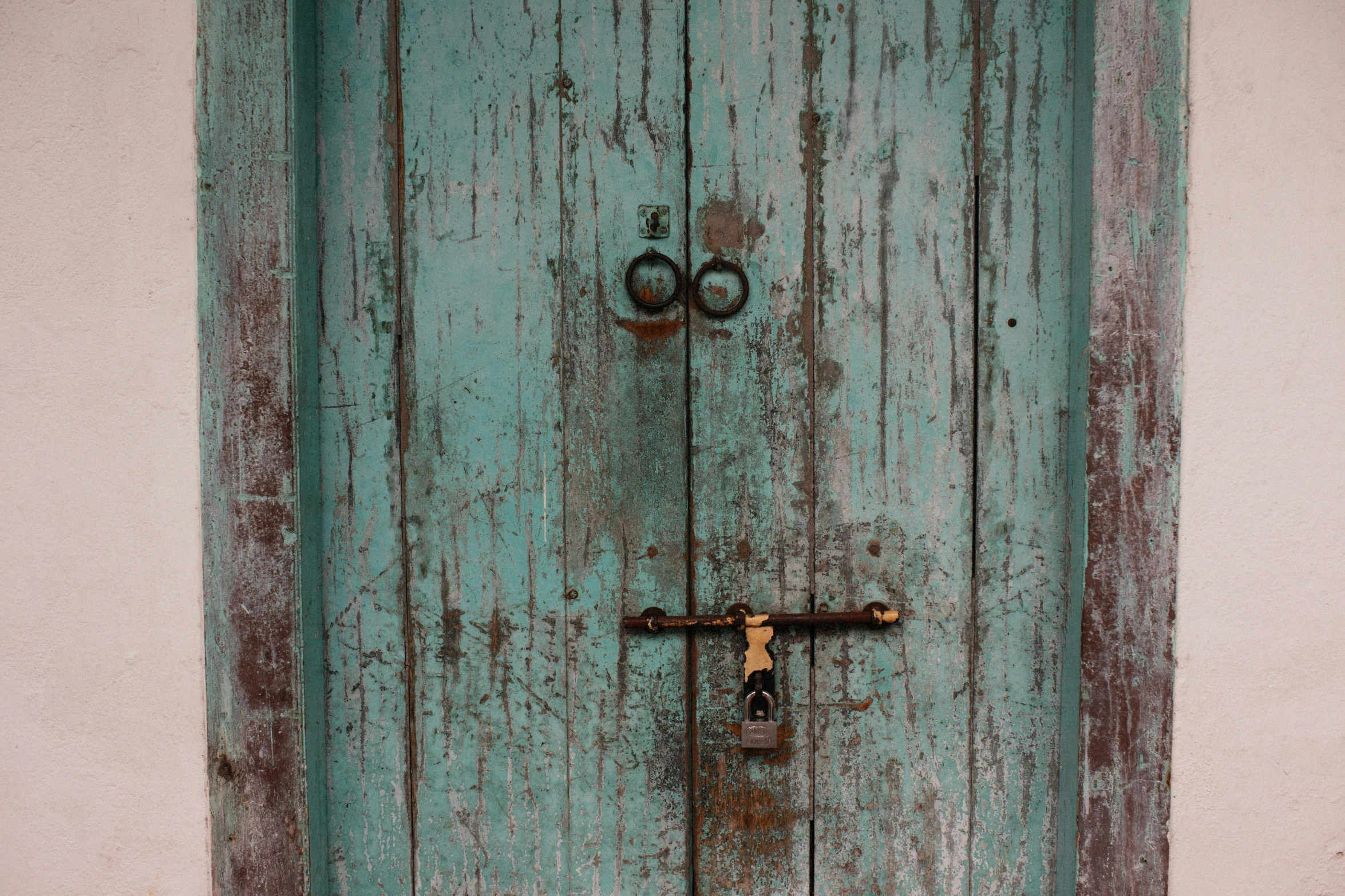 a close up of a door with a lock on it, by Elsa Bleda, conceptual art, rustic wood, cyan, 1 8 7 6, muted green