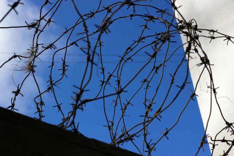 a barbed wire fence with a blue sky in the background, by Alison Watt, hurufiyya, prison cell, stacked image, urban surroundings, black tendrils