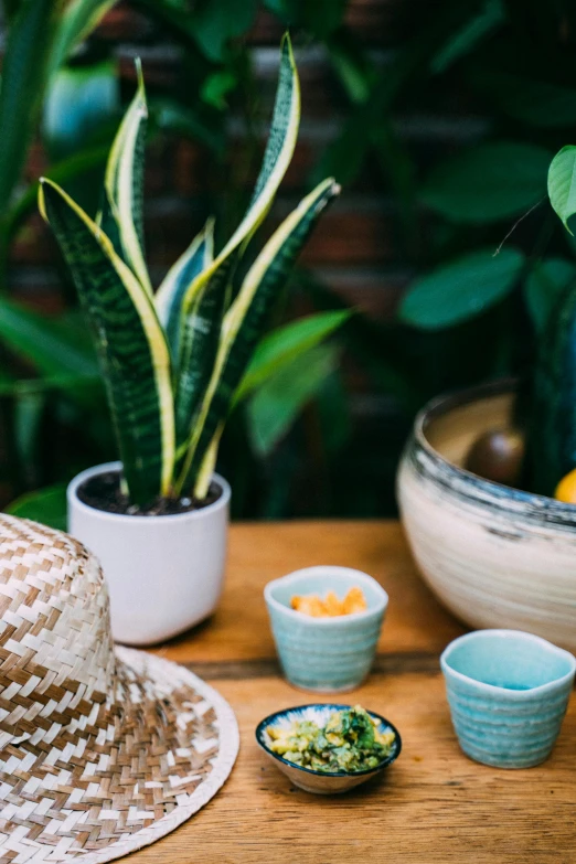 a straw hat sitting on top of a wooden table, a still life, trending on unsplash, lush plants and lanterns, dipped in polished blue ceramic, clean image, ramps