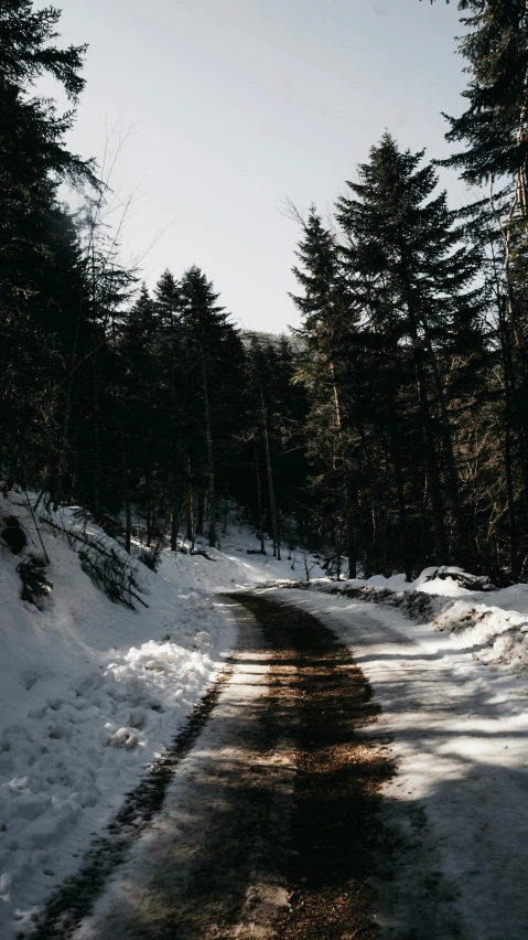 a snow covered road in the middle of a forest, on a road, dirt road, low quality photo, unsplash photography