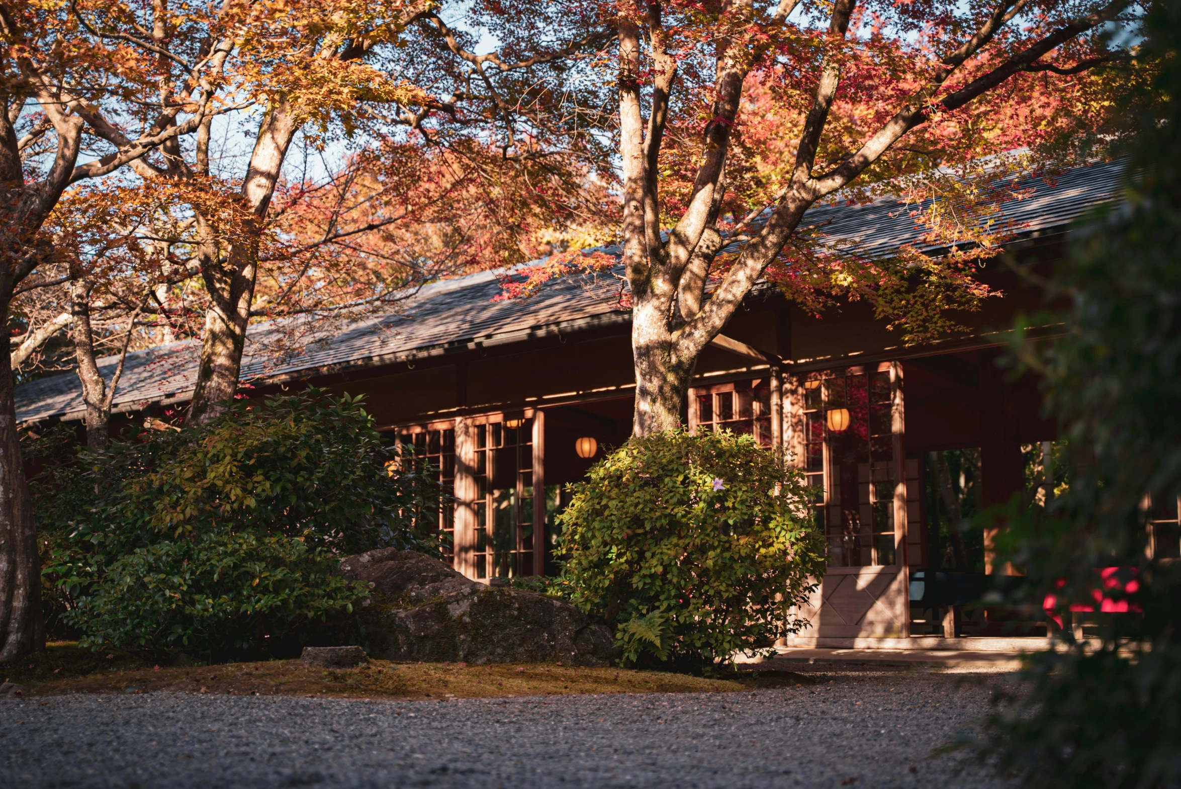 a house sitting in the middle of a forest, inspired by Itō Jakuchū, unsplash, autum garden, autumn light, museum photo, brown