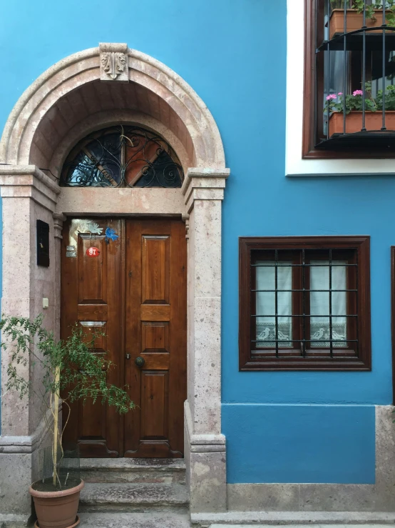 a blue building with a potted plant in front of it, inspired by Osman Hamdi Bey, pexels contest winner, quito school, tall arched stone doorways, istanbul, wood door, brown and cyan color scheme