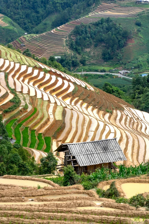 a house sitting on top of a lush green hillside, trending on unsplash, land art, vietnam war, square, full of golden layers, white