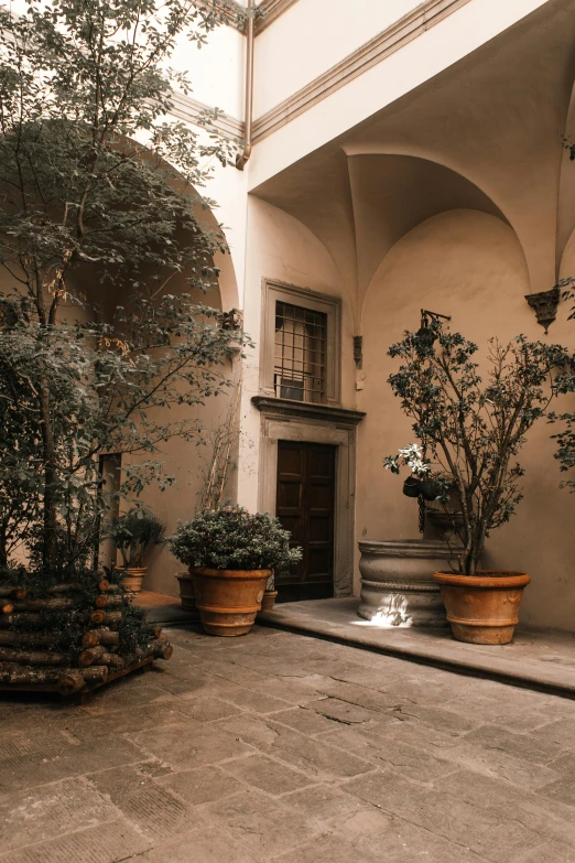 a courtyard with potted plants and potted trees, a photo, pexels contest winner, renaissance, florentine school, cozy setting, archs, brown