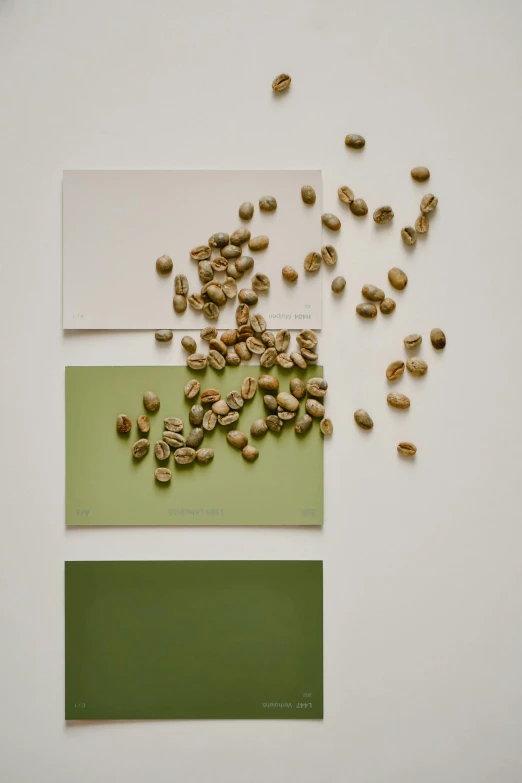 a bunch of coffee beans sitting on top of a table, inspired by Art Green, color field, on high-quality paper, moodboard, olive, three