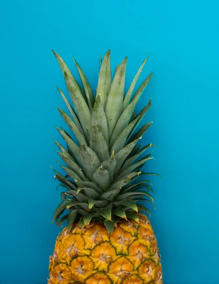 a pineapple sitting on a table against a blue wall, profile image, highly upvoted, multiple stories, on clear background