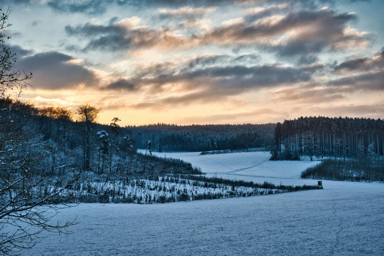 a field covered in snow next to a forest, by Jesper Knudsen, pexels contest winner, sunset panorama, shades of blue and grey, thumbnail, lake view