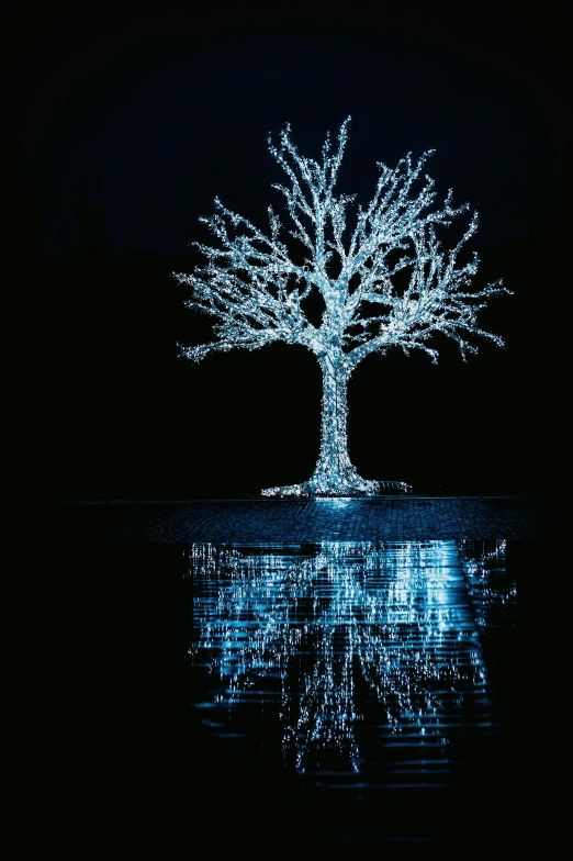 a tree that is lit up in the dark, a hologram, reflecting pool, dramatic white and blue lighting, winter setting, with a black background
