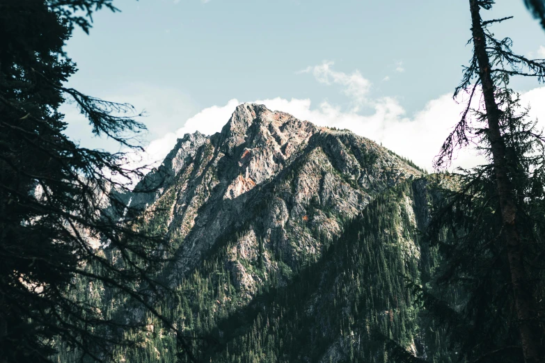 a view of a mountain through some trees, by Carey Morris, unsplash contest winner, steep cliffs, profile image, mount olympus, brown