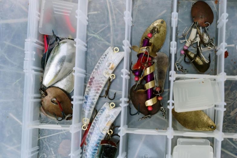 a box filled with lots of different types of fishing lures, by Jessie Algie, trending on pexels, avatar image, white, fan favorite, phone photo