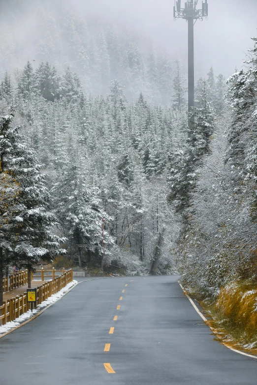 a road in the middle of a forest covered in snow, slide show, california, explore, back