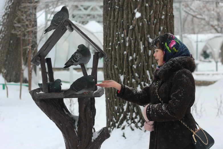 a woman standing next to a bird feeder in the snow, interactive art, parks and monuments, tula, grey, tourism