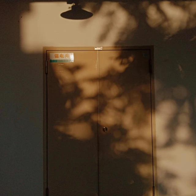 the shadow of a tree on the wall of a building, by Yasushi Sugiyama, unsplash, door, studio ghibli sunlight, instagram picture, under studio lighting