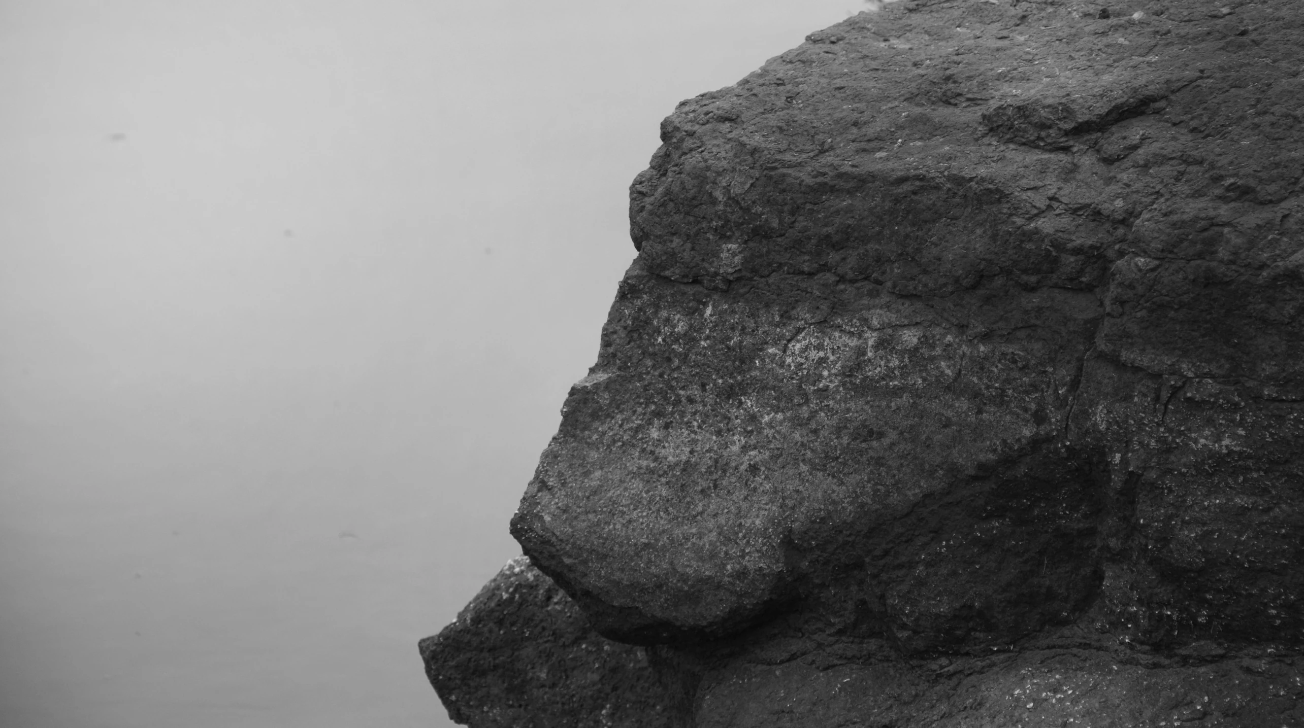 a black and white photo of a bird perched on a rock, postminimalism, a face, rocky lake shore, face photo, trending photo