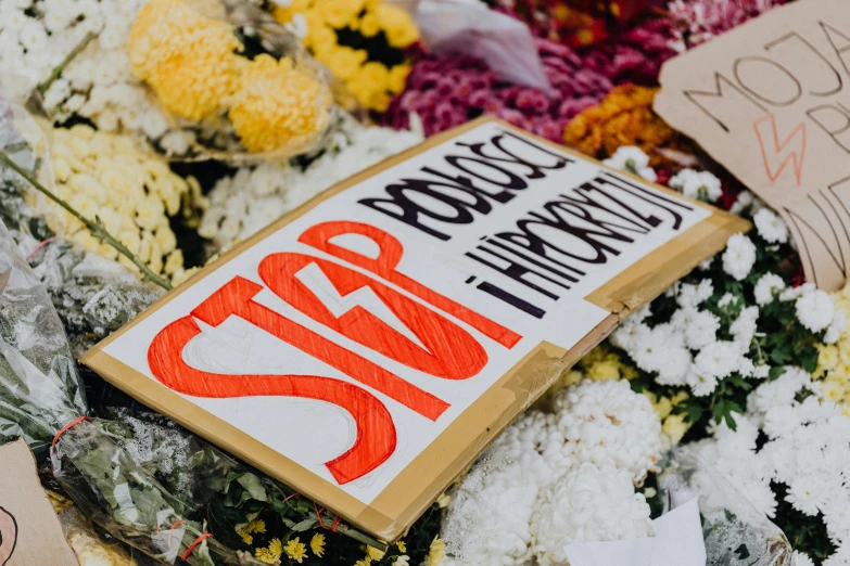 a close up of a bunch of flowers with a sign, by Julia Pishtar, trending on unsplash, sots art, protest, cardboard, simone graci, feature