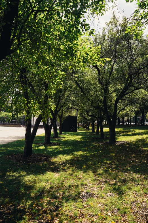 a park filled with lots of green grass and trees, inspired by Thomas Struth, 1990s photograph, mexico city, 1999 photograph