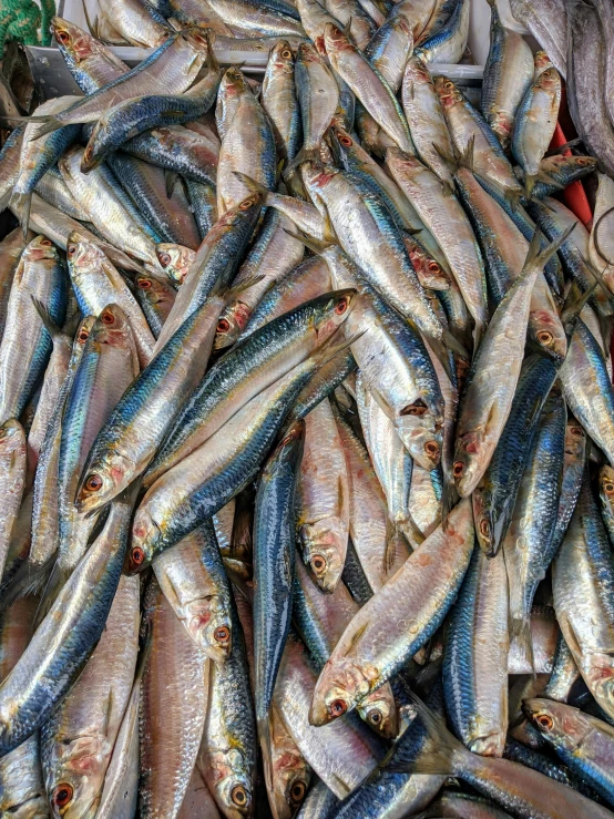 a pile of fish sitting on top of a table