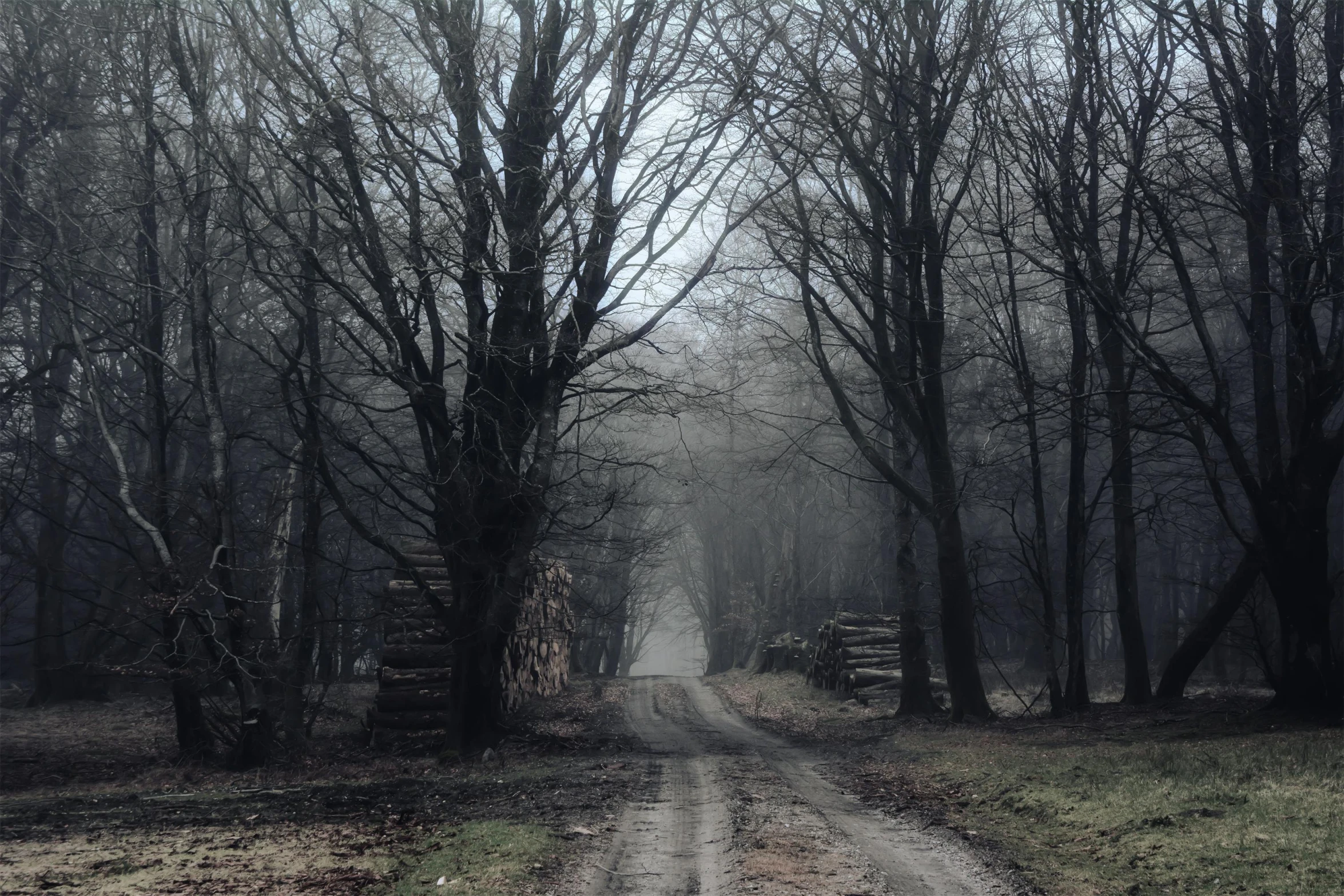 a dirt road surrounded by trees on a foggy day, by Adam Szentpétery, pexels contest winner, rusted silent hill, on a dark winter's day, light grey mist, southern gothic