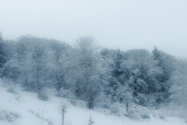 a man riding a snowboard down a snow covered slope, a photo, inspired by Arthur Burdett Frost, pexels, romanticism, forest. white trees, panoramic, in an ice storm, white and pale blue