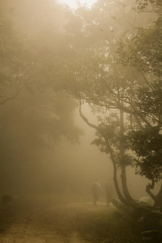 a person riding a horse through a foggy forest, by Ma Yuan, unsplash contest winner, australian tonalism, background: assam tea garden, people walking around, hong kong, taken in the late 2010s