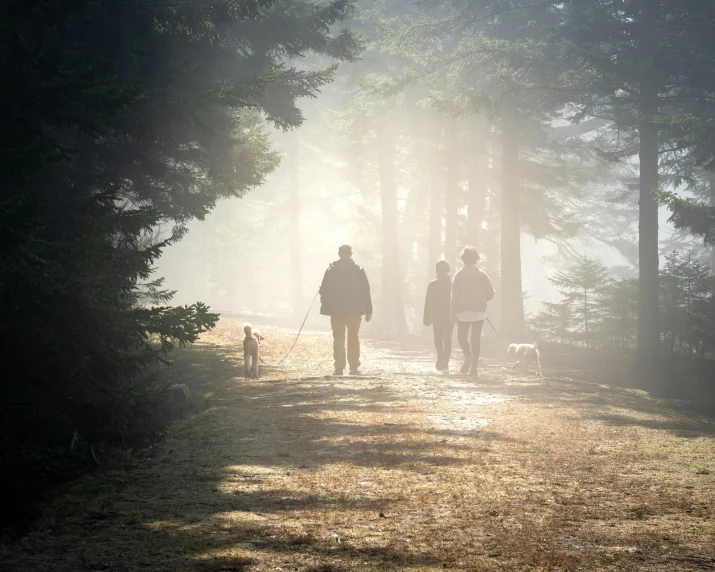 a group of people walking down a path in the woods, by Eglon van der Neer, pexels, romanticism, pets, god rays, fir forest, misting