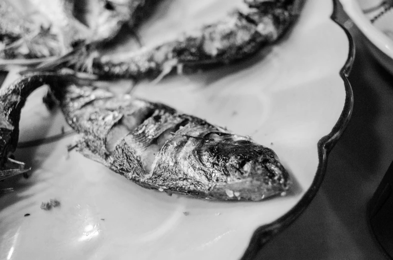 a couple of fish sitting on top of a white plate, a black and white photo, pixabay, burned, macro up view metallic, 1970s photo, food photography”