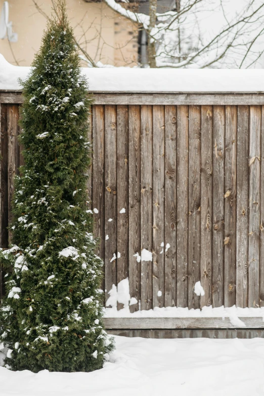 a red fire hydrant sitting next to a wooden fence, by Sven Erixson, trending on unsplash, snow camouflage, cypresses, light - brown wall, silver，ivory